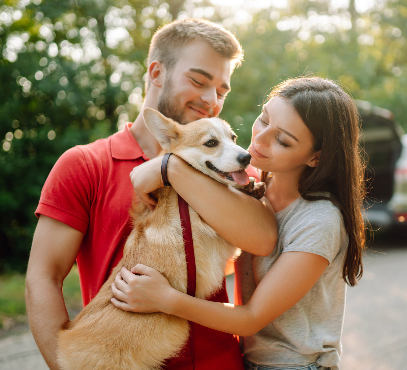 yuva-theme-woofy