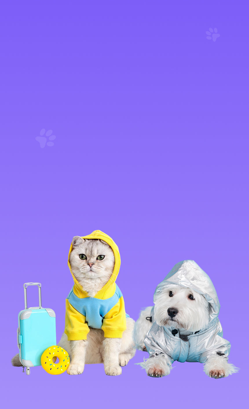 yuva-theme-woofy