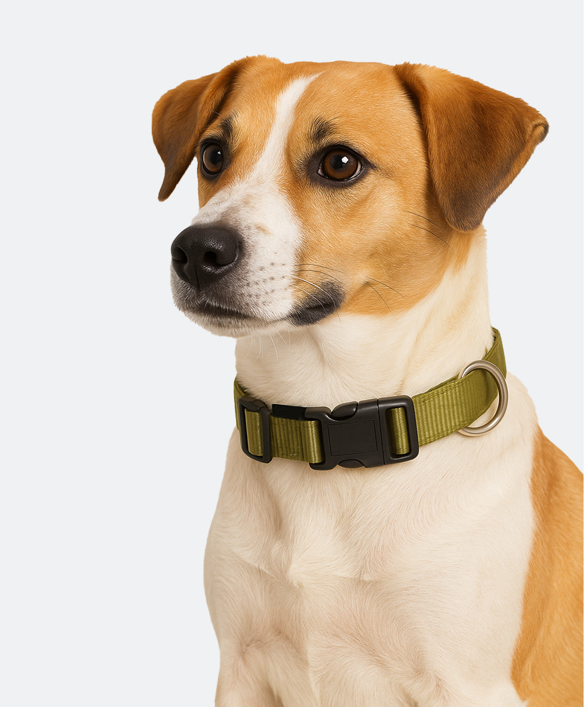 yuva-theme-woofy