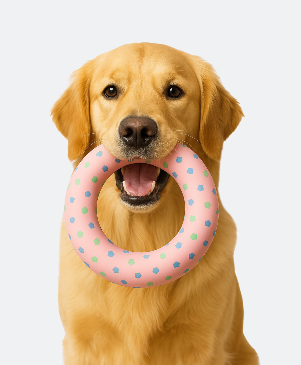 yuva-theme-woofy