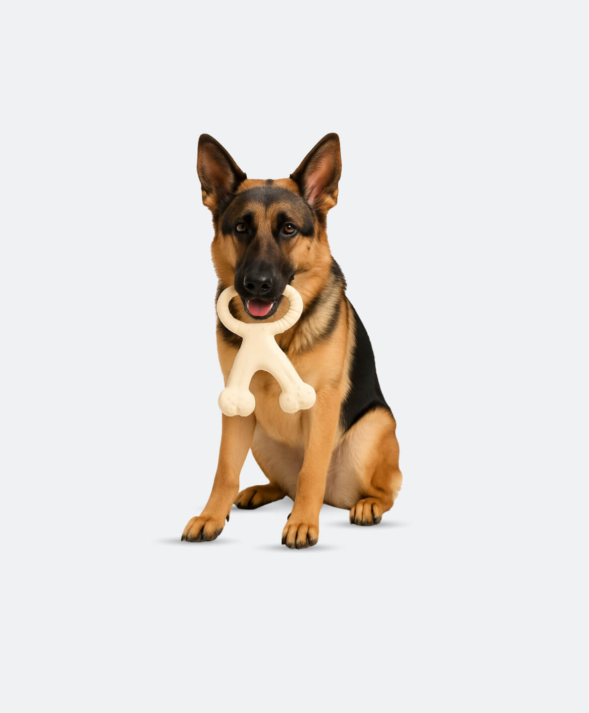 yuva-theme-woofy